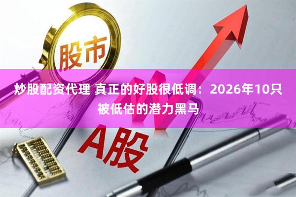 炒股配资代理 真正的好股很低调：2026年10只被低估的潜力黑马